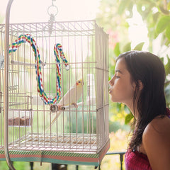 Mygeromon bird rope perch flexible wire shape allows varied perch positions.
