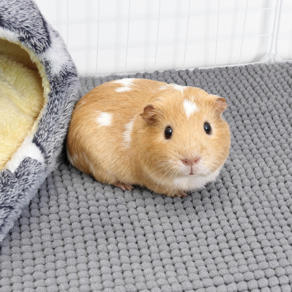 Mygeromon guinea pig cage liner features absorbent surface to trap spills and hay