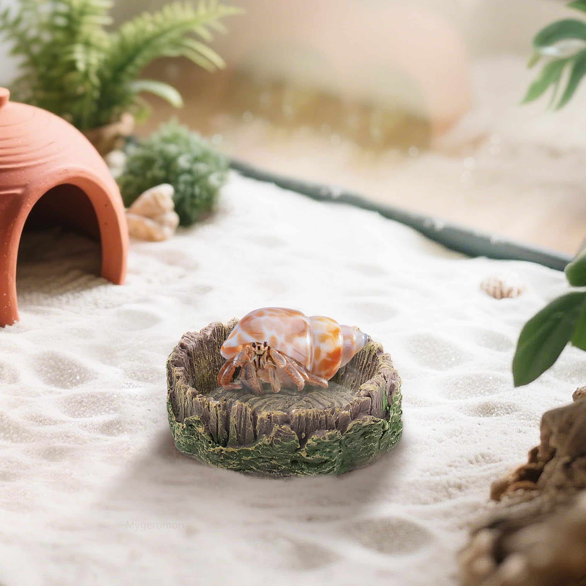 Mygeromon reptile dish texture close-up emphasizes rugged resin finish for daily terrarium use.