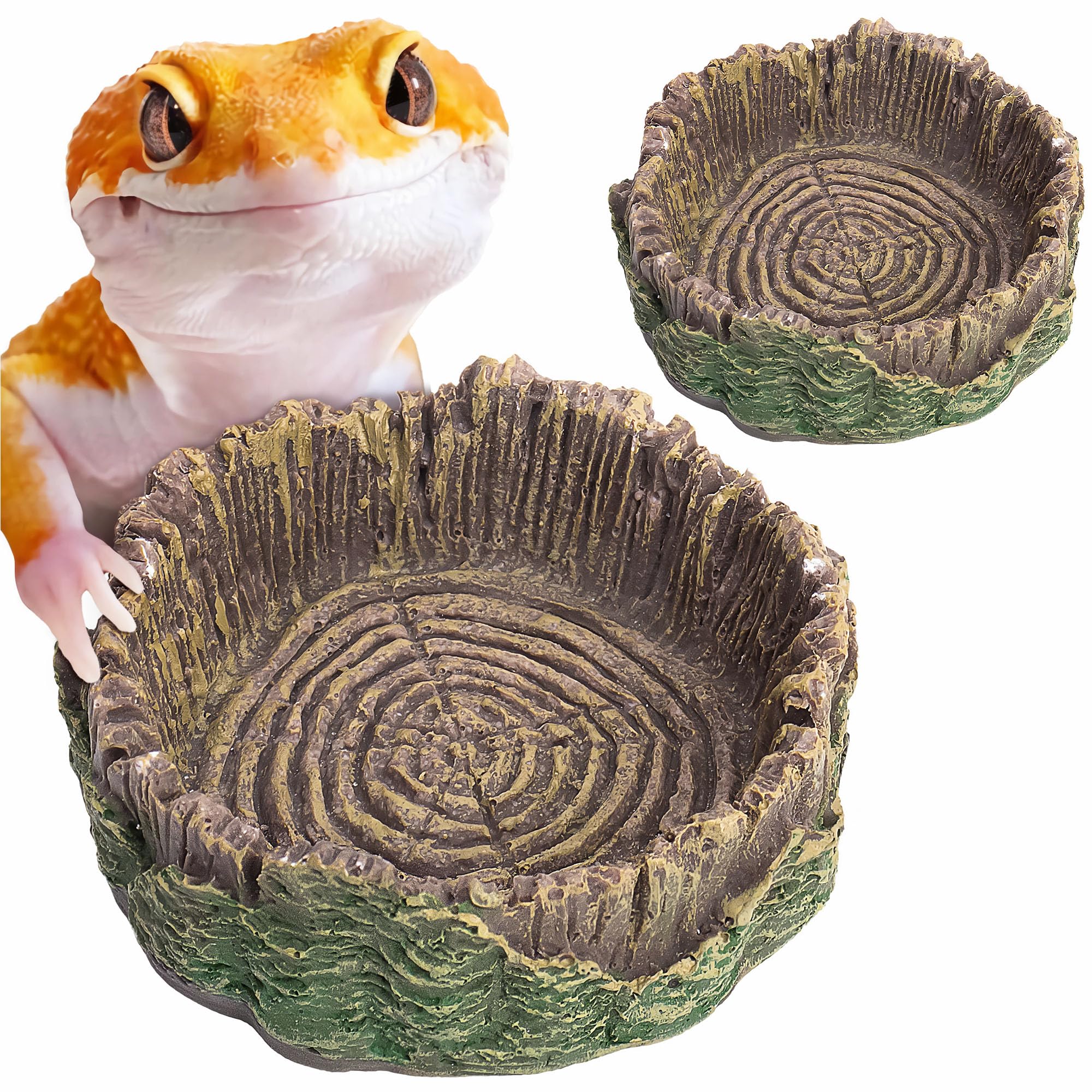 Mygeromon reptile water dish small side view provides stable hydration with minimal spillage.