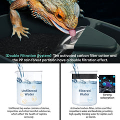 MYGIIKAKA double-filtration maintains clearer water for reptiles