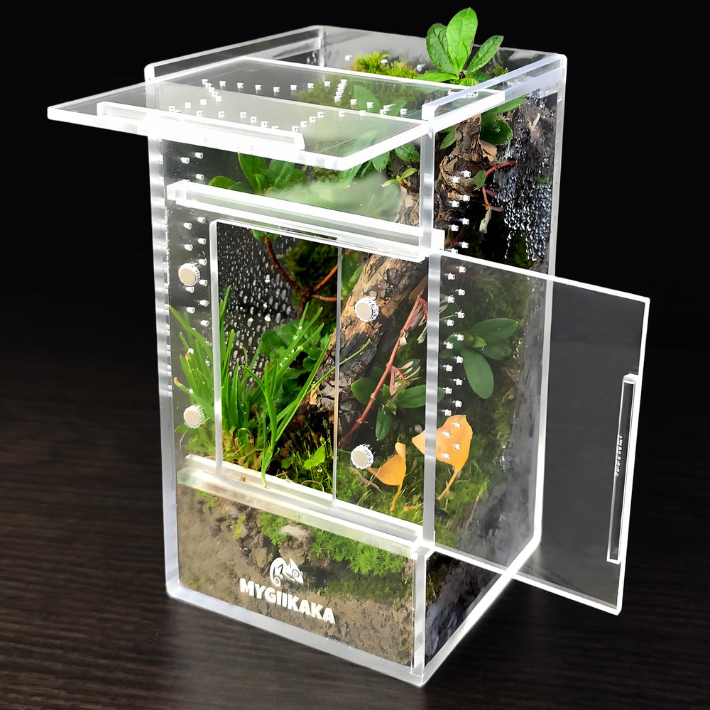MYGIIKAKA jumping spider enclosure with clear view for observing tiny arachnids
