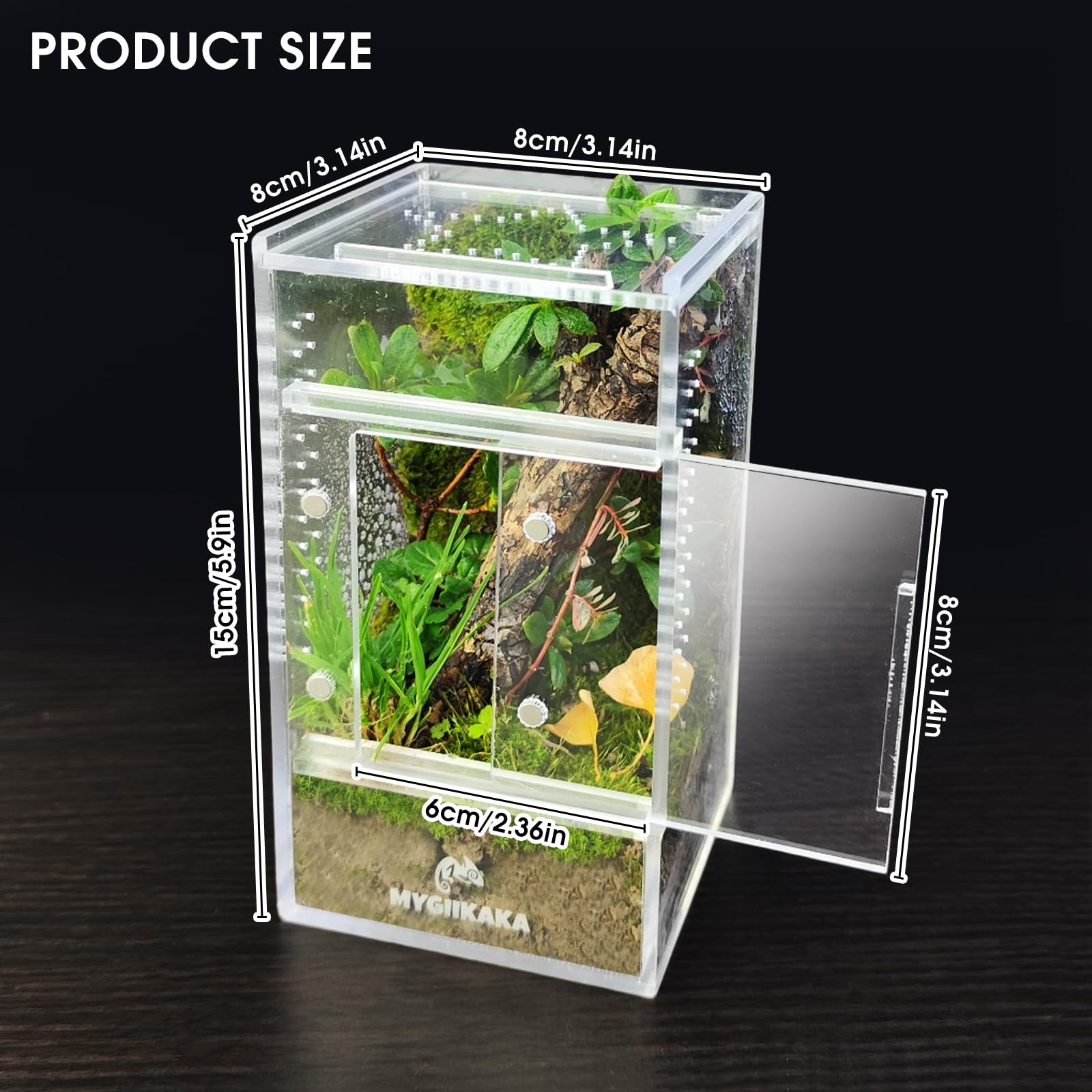 MYGIIKAKA mini bug habitat fits on desks for micro landscapes