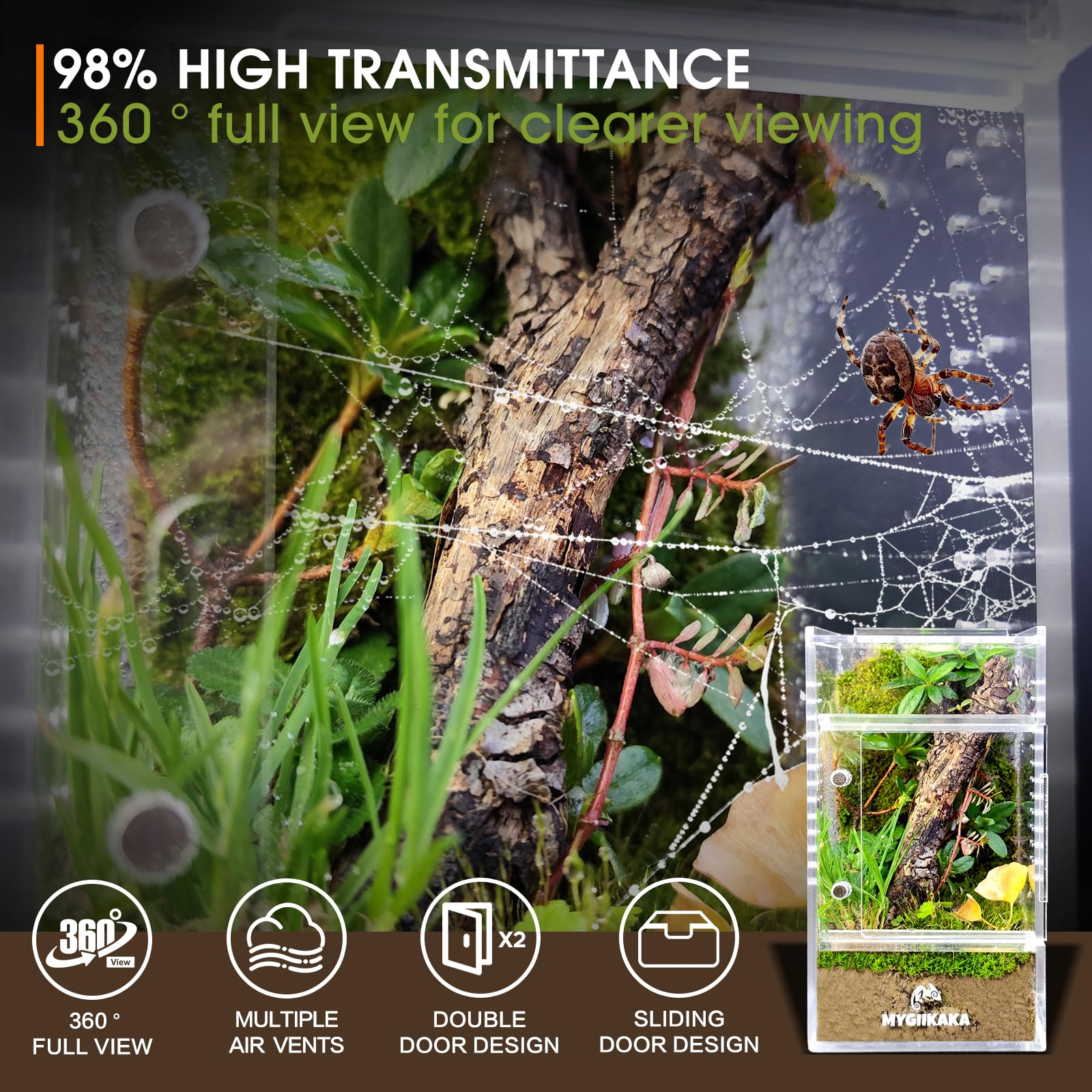 MYGIIKAKA spider enclosure with magnetic doors for easy feeding and access