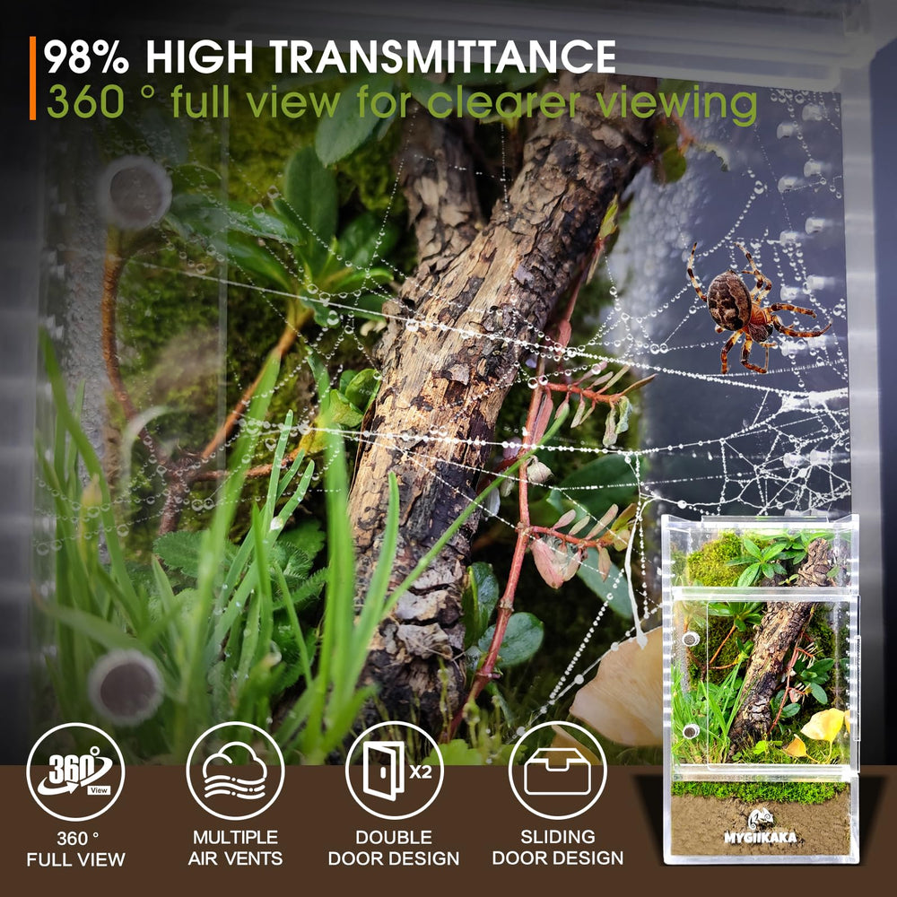 MYGIIKAKA spider enclosure with magnetic doors for easy feeding and access