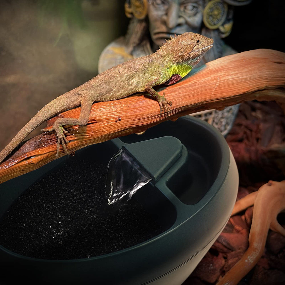 MYGIIKAKA ultra-quiet-pump minimizes noise in vivarium
