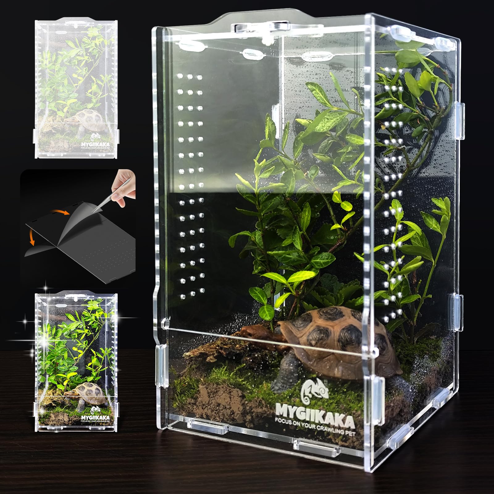 MYGIIKAKA acrylic jumping spider habitat 360 view for easy observation.
