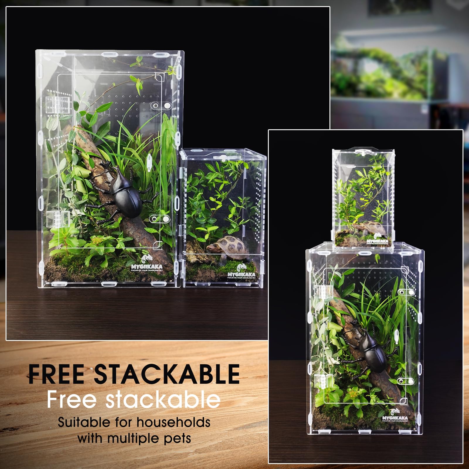 MYGIIKAKA multi-species capable enclosure for spiders, mantises, frogs.