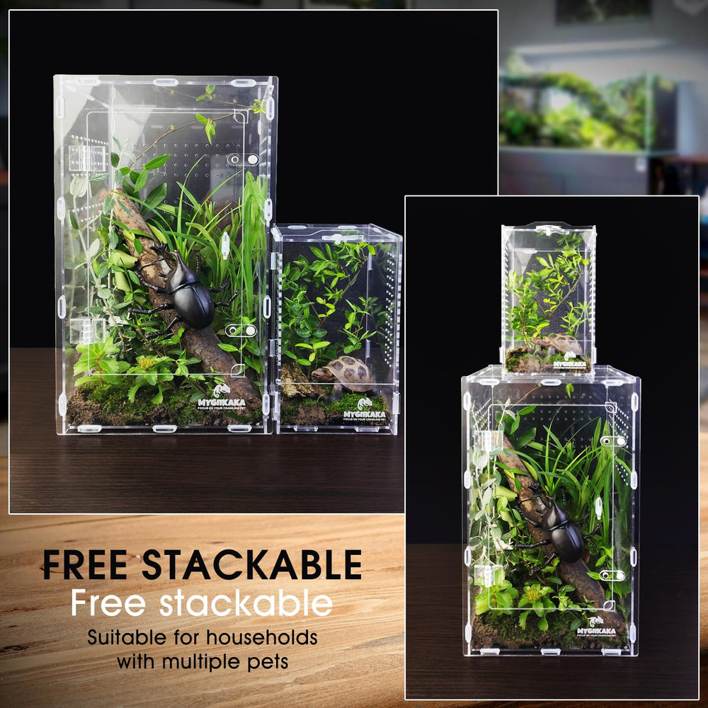 MYGIIKAKA spider terrarium suitable for mantises tarantulas and frogs