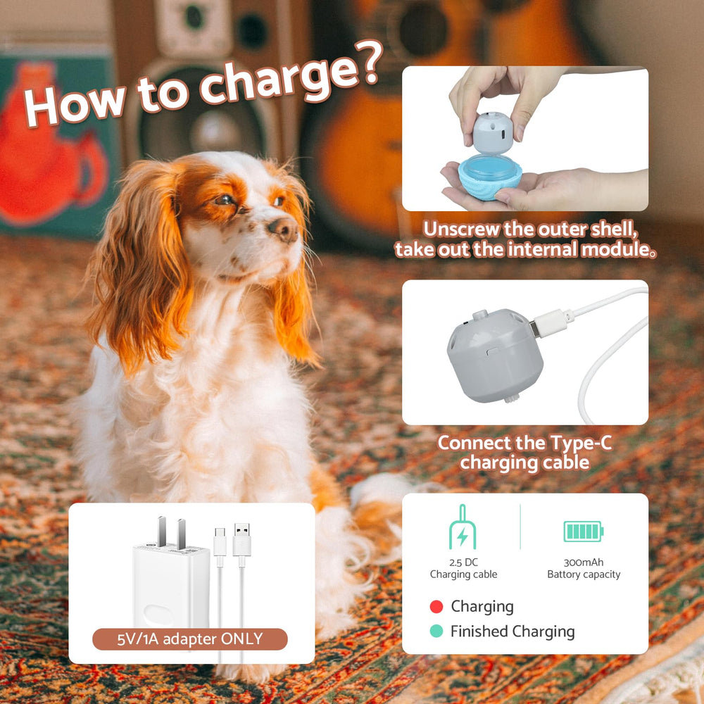 MYGODPET-ball two-point-five-inch size fits dogs 20-60 lbs.
