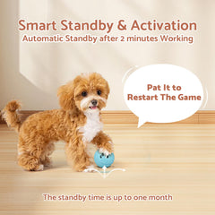 MYGODPET chew-resistant-TPU-ball withstands lively fetch.