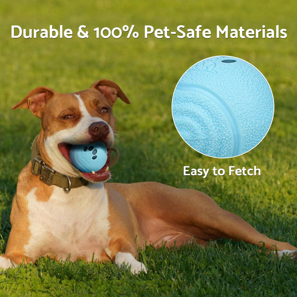 MYGODPET IP54-rated toy cleans easily after outdoor use.