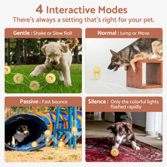 MYGODPET mode gentle preview for shy dogs and gentle fetch sessions