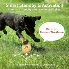MYGODPET mode standard in action showing balanced play and engagement