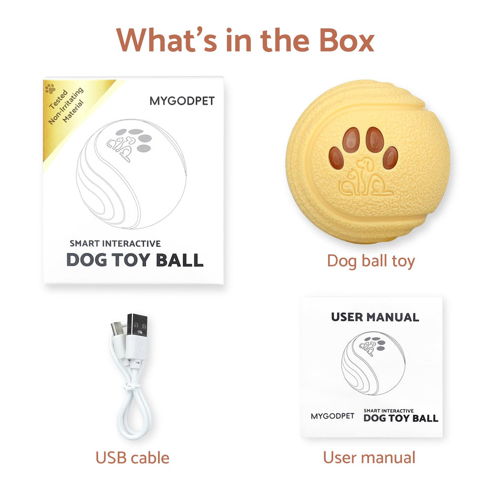 MYGODPET motion-sensor activation showing automatic wake after inactivity