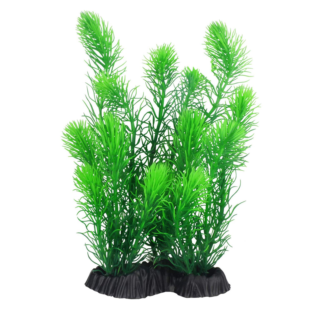 MyLifeUNIT aquarium plants ceramic-base provides upright stability in any tank
