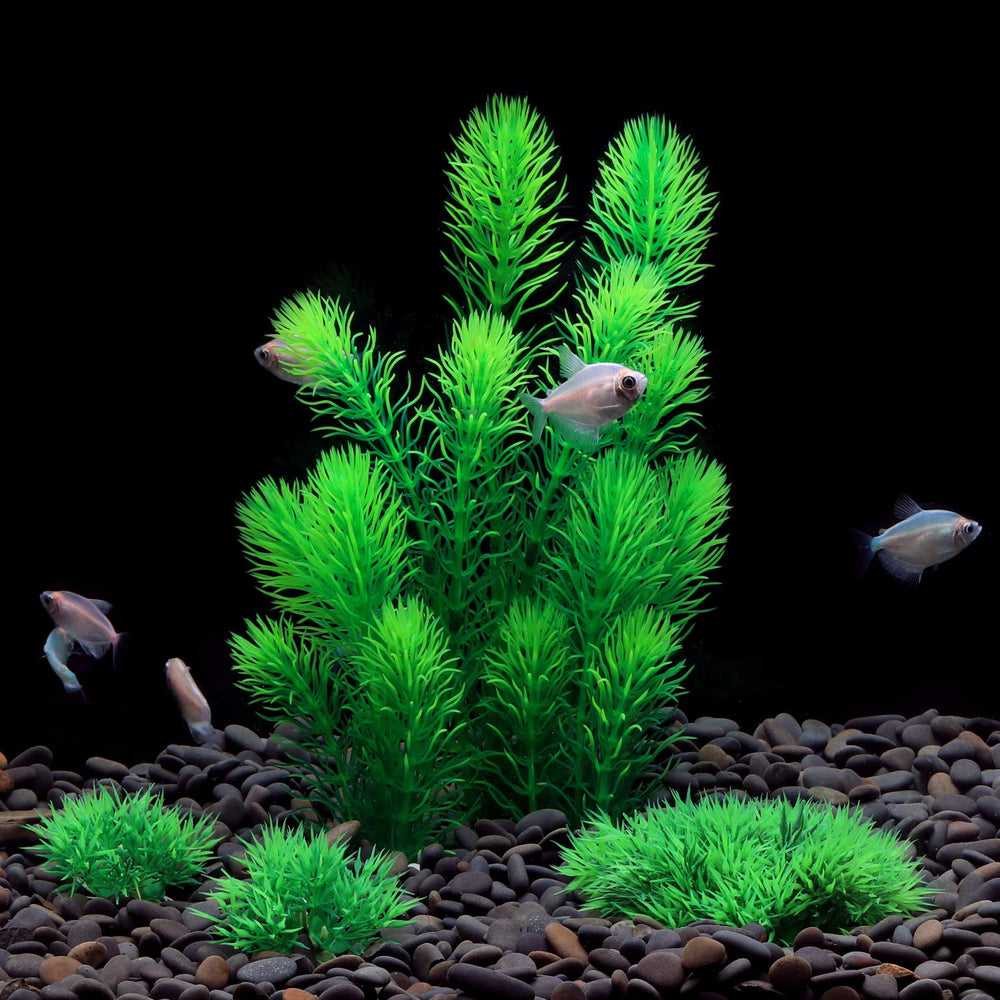 MyLifeUNIT aquarium plants closeup of soft leaves highlighting fish-friendly design