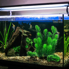 MyLifeUNIT aquarium plants fade-resistant materials maintain color without water pollution