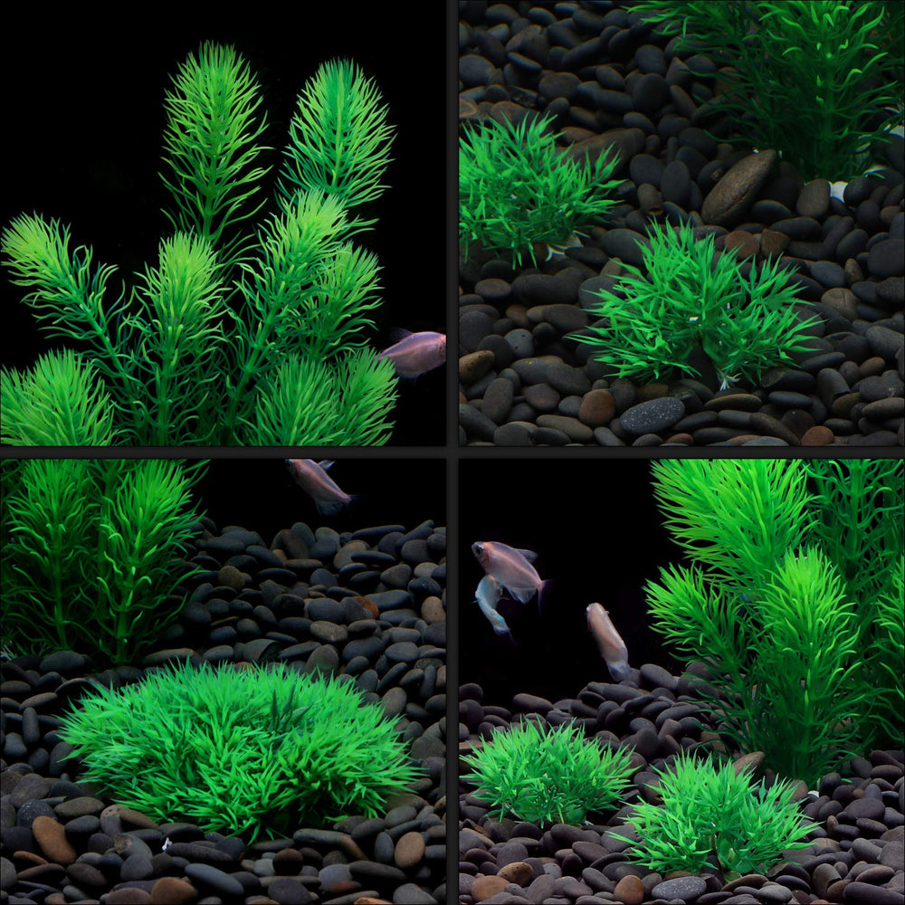 MyLifeUNIT aquarium plants in tank decorate aquascapes with natural-looking habitat