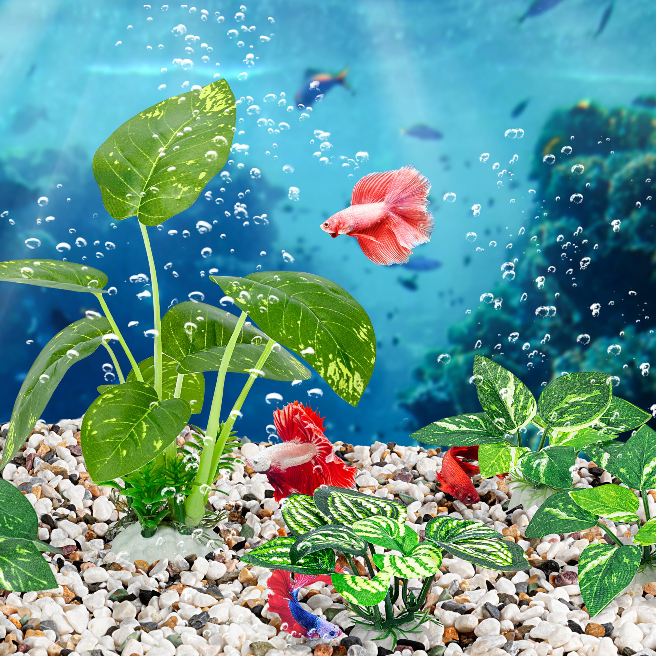 MyLifeUNIT Betta decor aquarium-view shows a lush, naturalistic habitat.