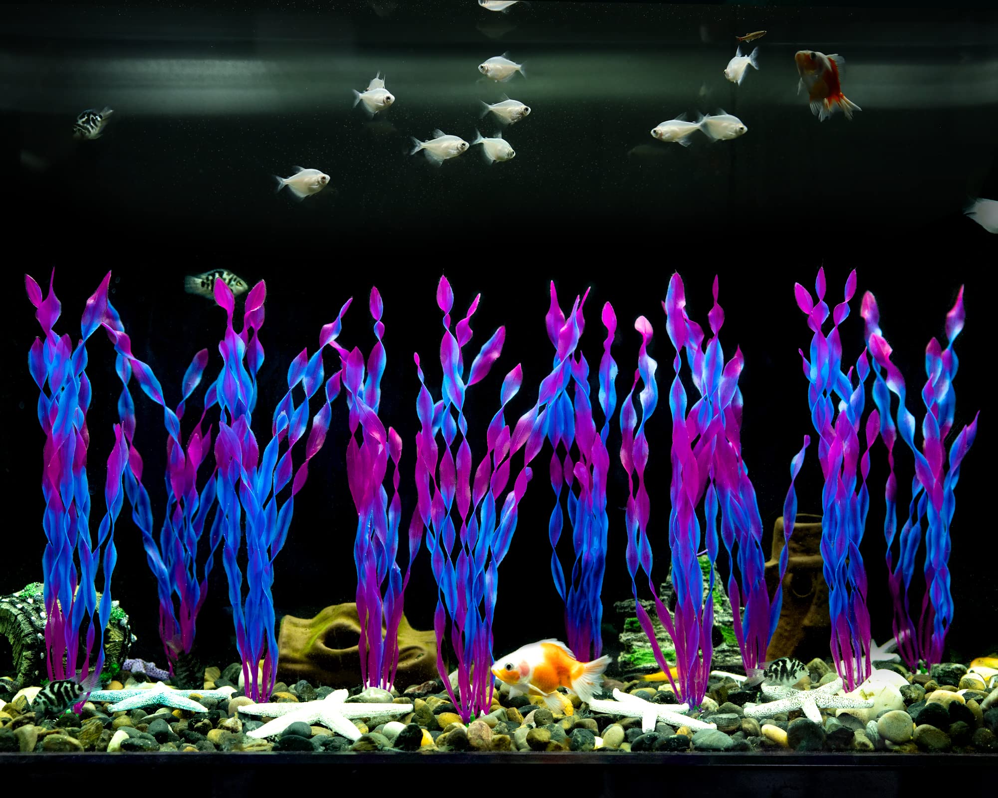 MyLifeUNIT purple and blue color palette enhances aquarium aesthetics and visual depth.