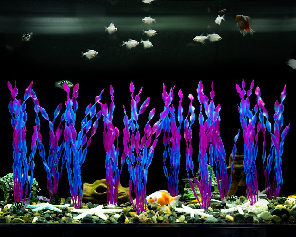 MyLifeUNIT purple and blue color palette enhances aquarium aesthetics and visual depth.