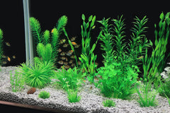 MyLifeUNIT dense-green plants closeup shows vibrant color for bright tank accents.