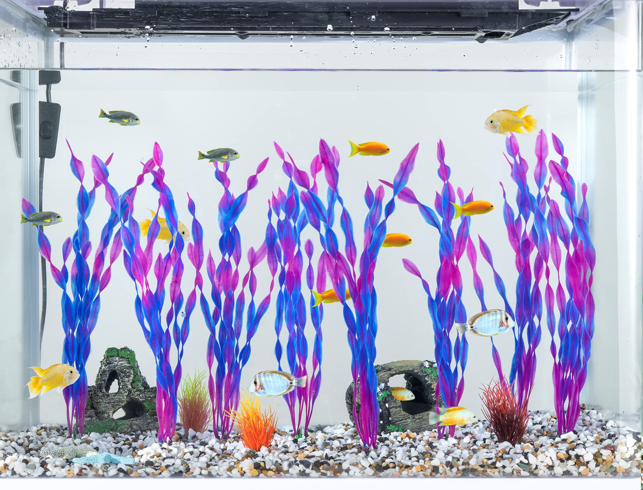MyLifeUNIT warm-water restoration tip helps plant shapes recover after packaging.
