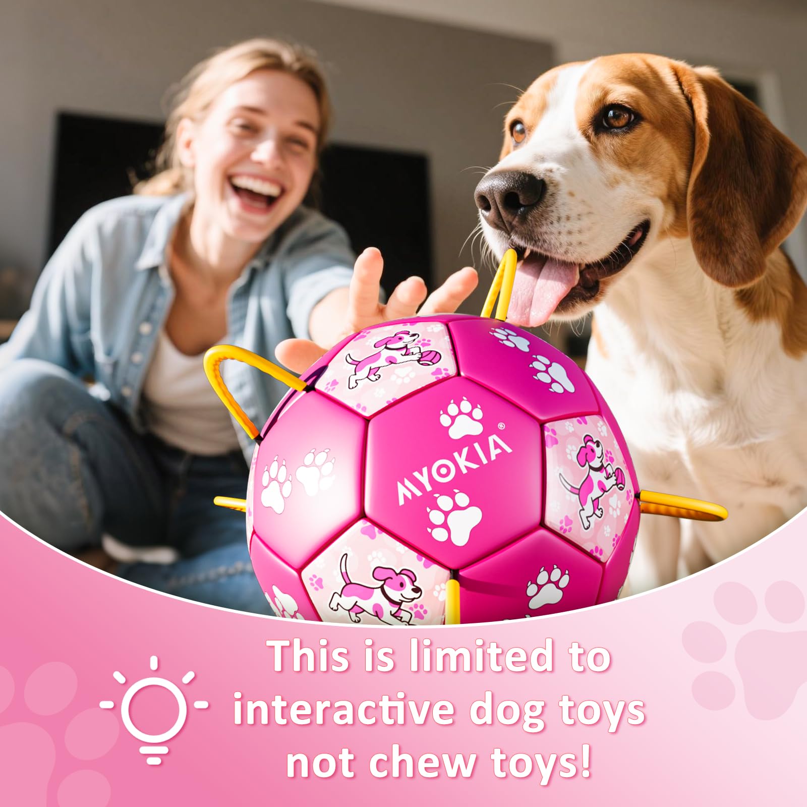 MYOKIA birthday gift option that keeps dogs active and engaged during celebrations