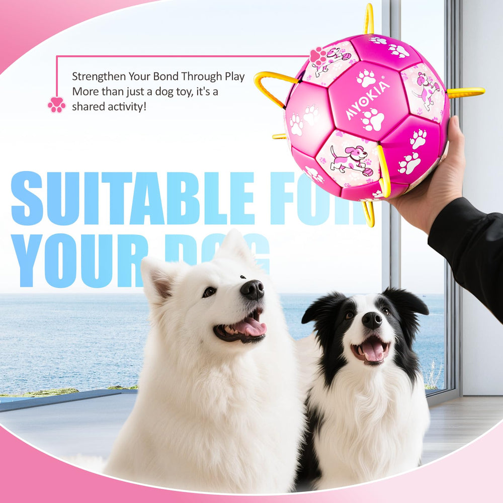 MYOKIA interactive dog toy enhances bonding through active fetch and enrichment sessions