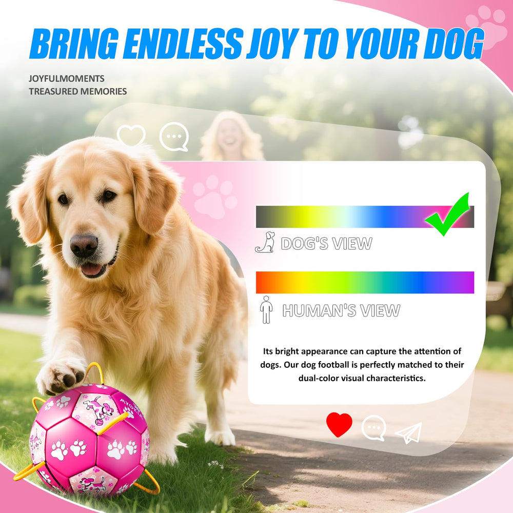 MYOKIA size-2 pink ball designed for small to medium dogs and gentle play