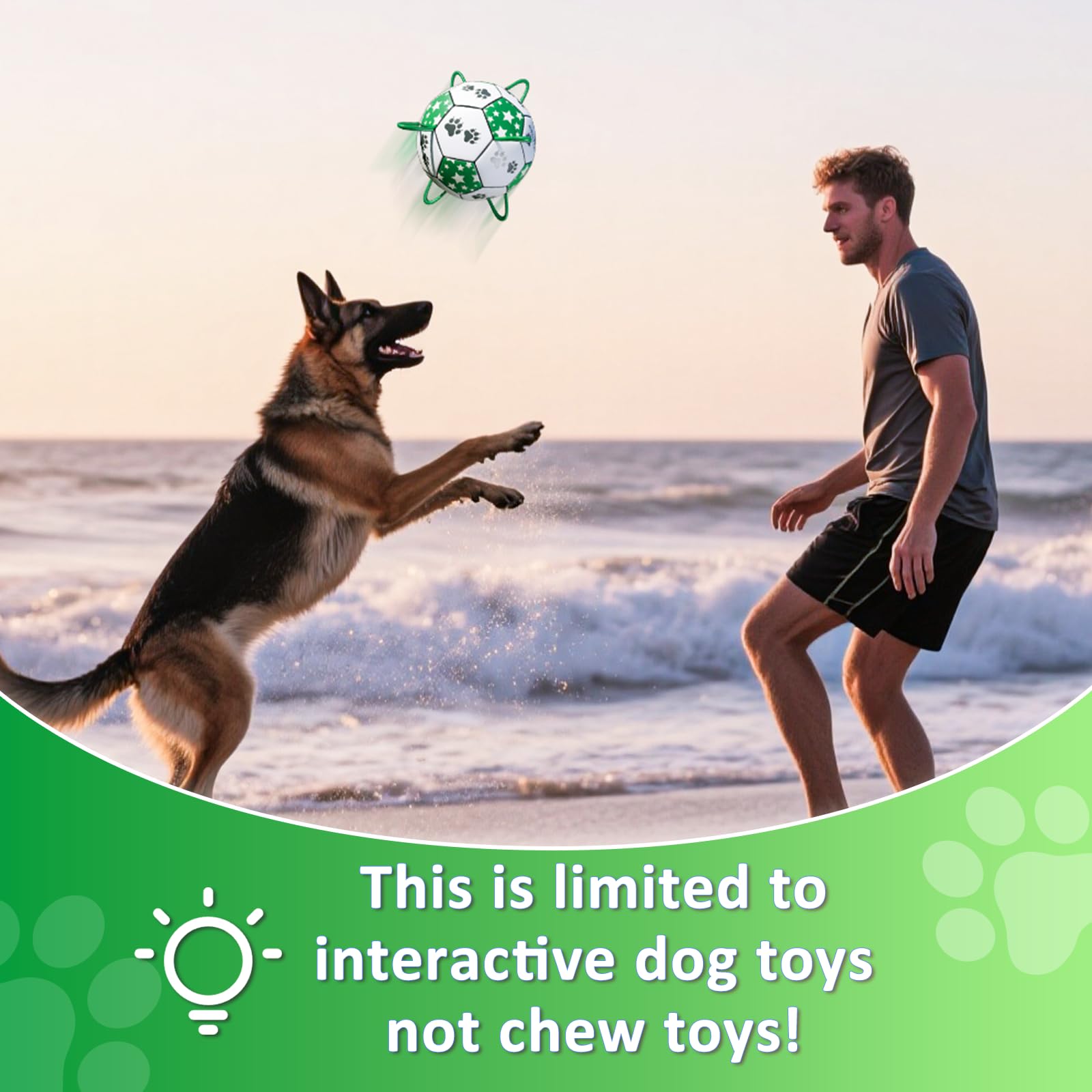 MYOKIA gift-ready packaging suitable for dog gift idea