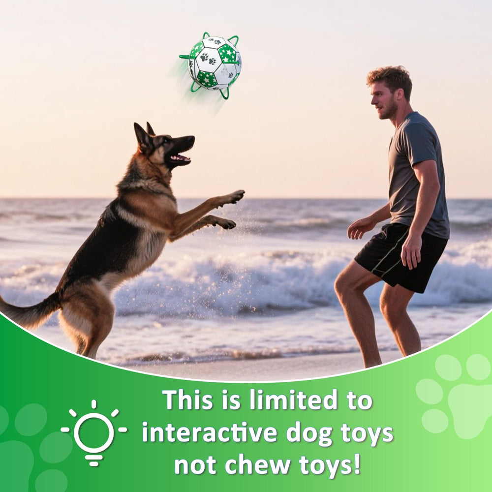 MYOKIA gift-ready packaging suitable for dog gift idea