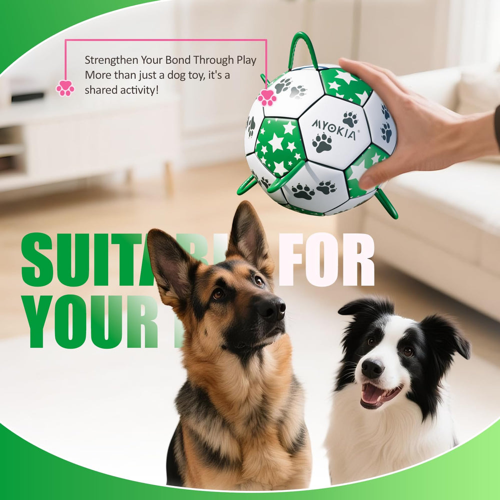 MYOKIA ball with pump ensures quick inflation for play