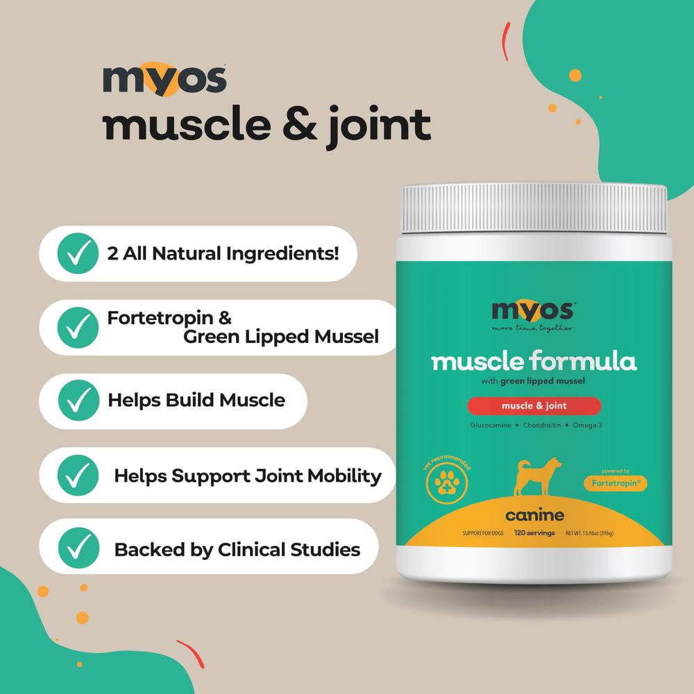 MYOS CANINE MUSCLE FORMULA bottle back label highlights gluten-free two-ingredient formula for sensitive dogs.