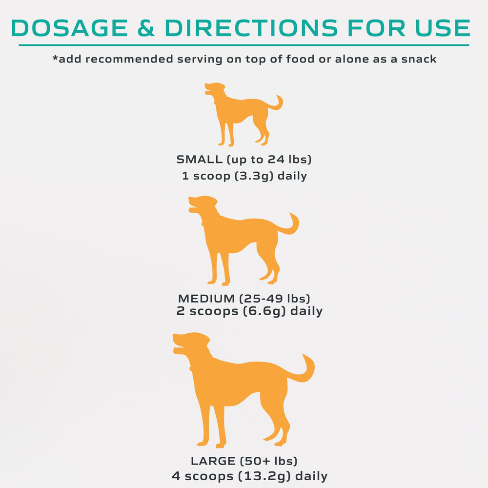 MYOS Canine Muscle Formula shown during dog activity to support mobility