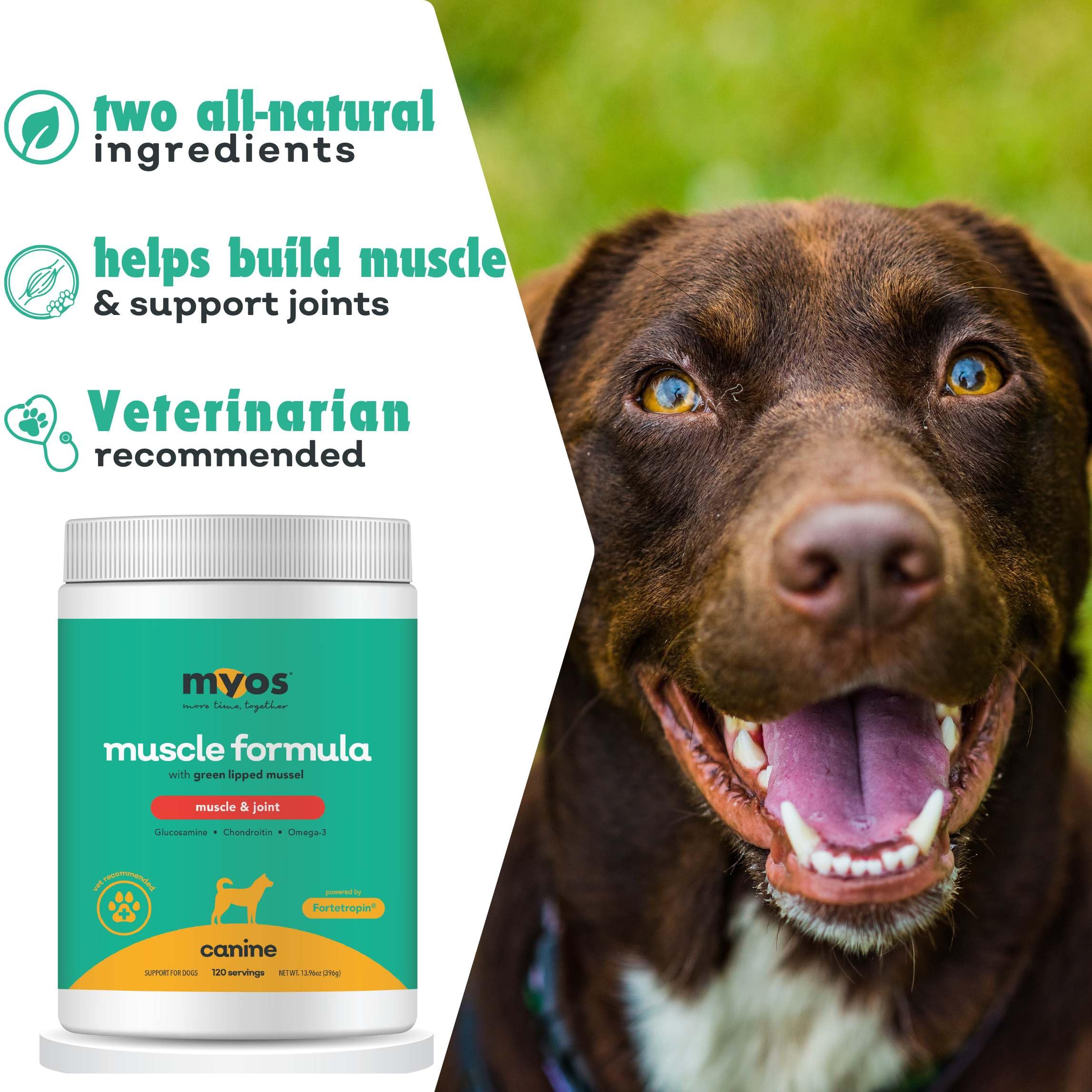 MYOS CANINE MUSCLE FORMULA dog on walk shows versatile use for all breeds and ages.