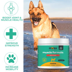 MYOS Canine Muscle Formula Fortetropin ingredient portrait for muscle recovery potential