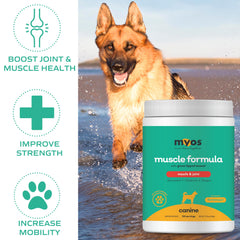 MYOS CANINE MUSCLE FORMULA green-lipped-mussel ingredient image shows natural joint support for dogs.