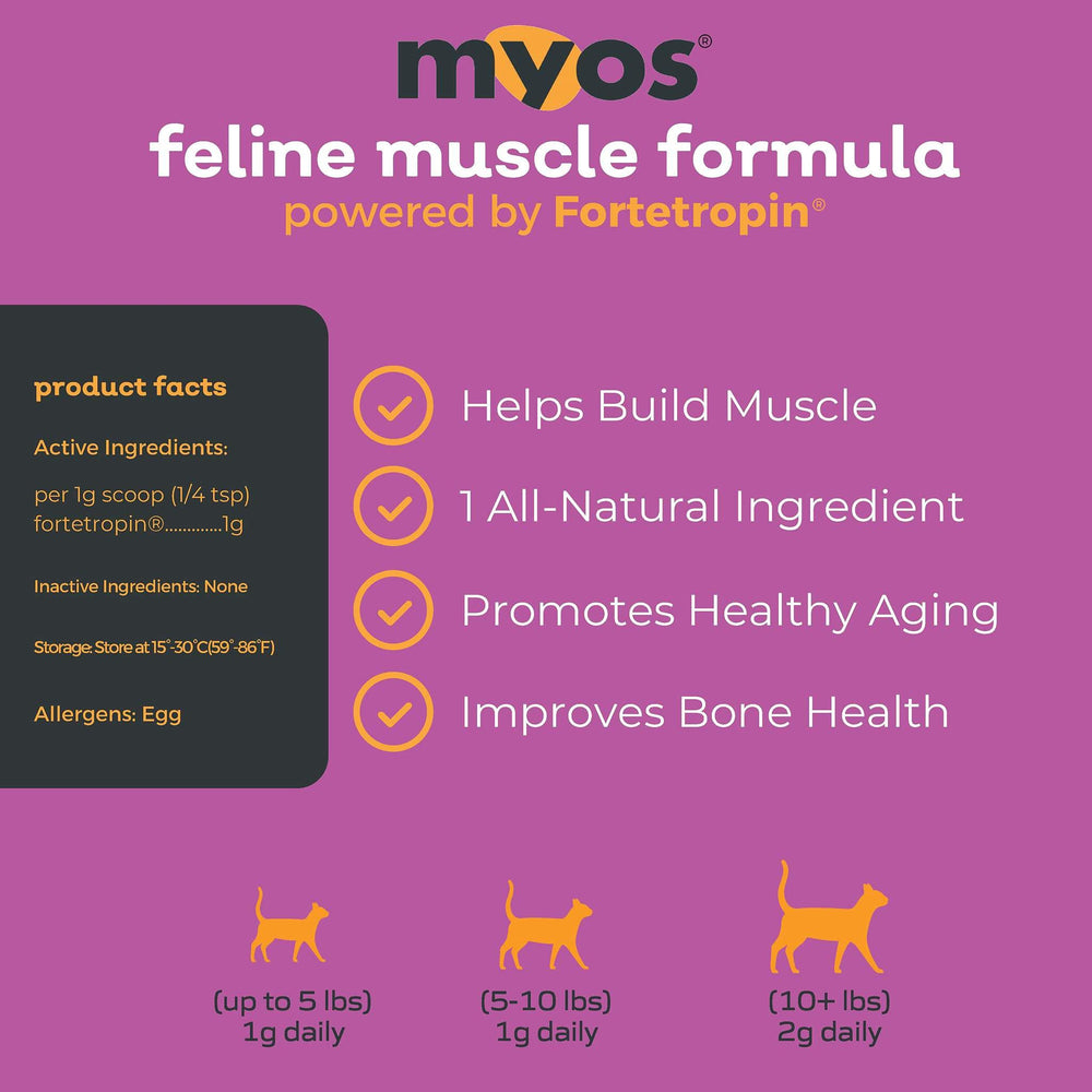 Senior cat mobility visual featuring MYOS product for active, comfortable daily movement.