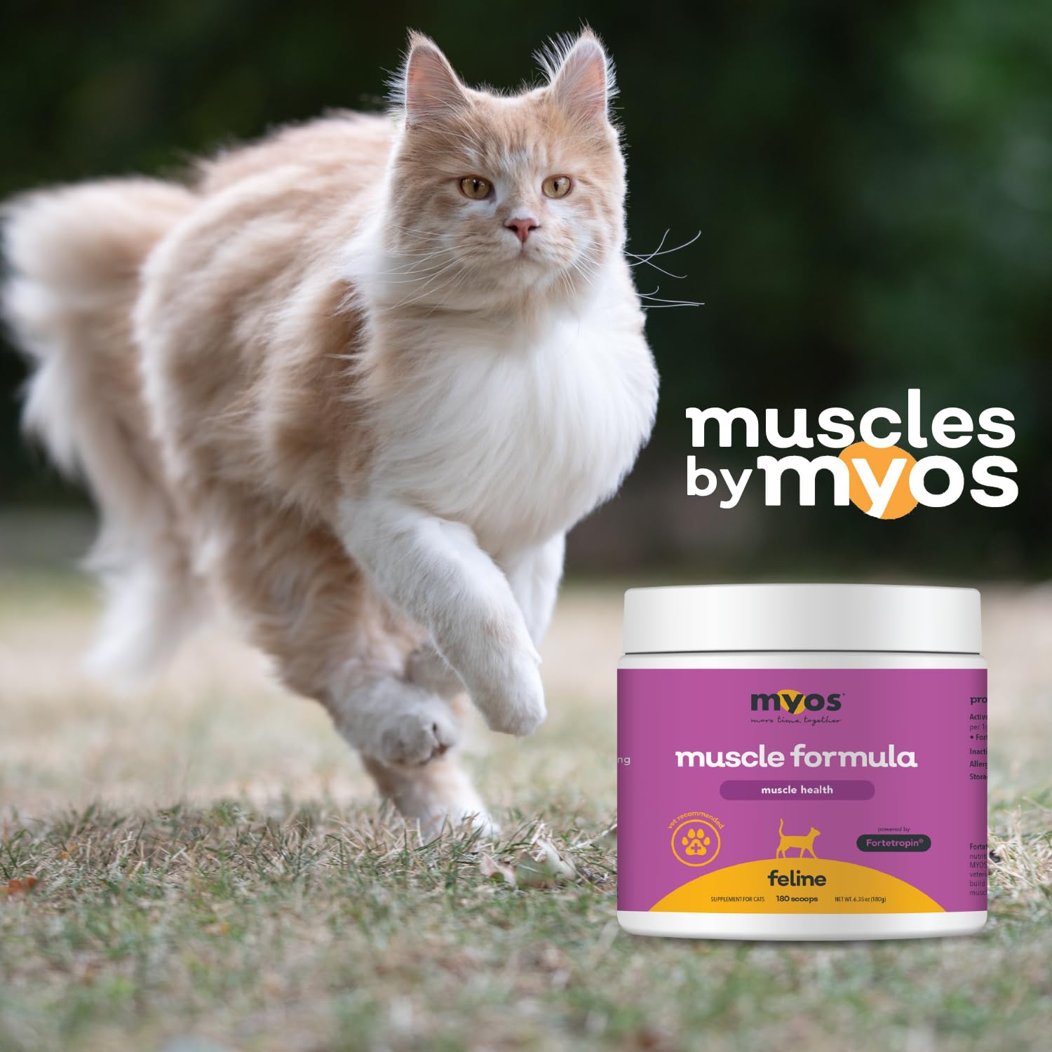 Fortetropin ingredient detail within MYOS formula for feline muscle health.