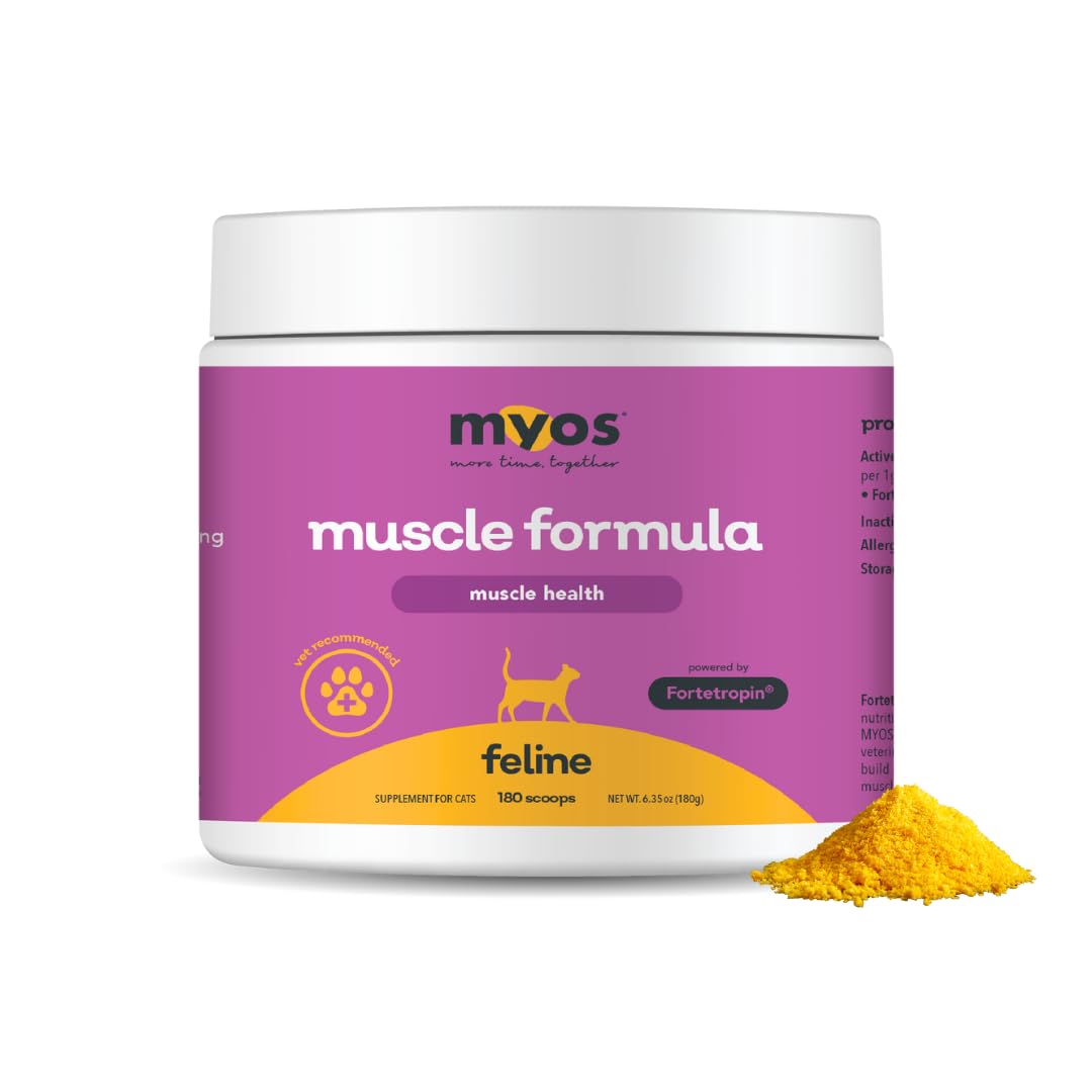 MYOS Feline Muscle Formula powder being dispensed to support easy meal-time muscle goals.