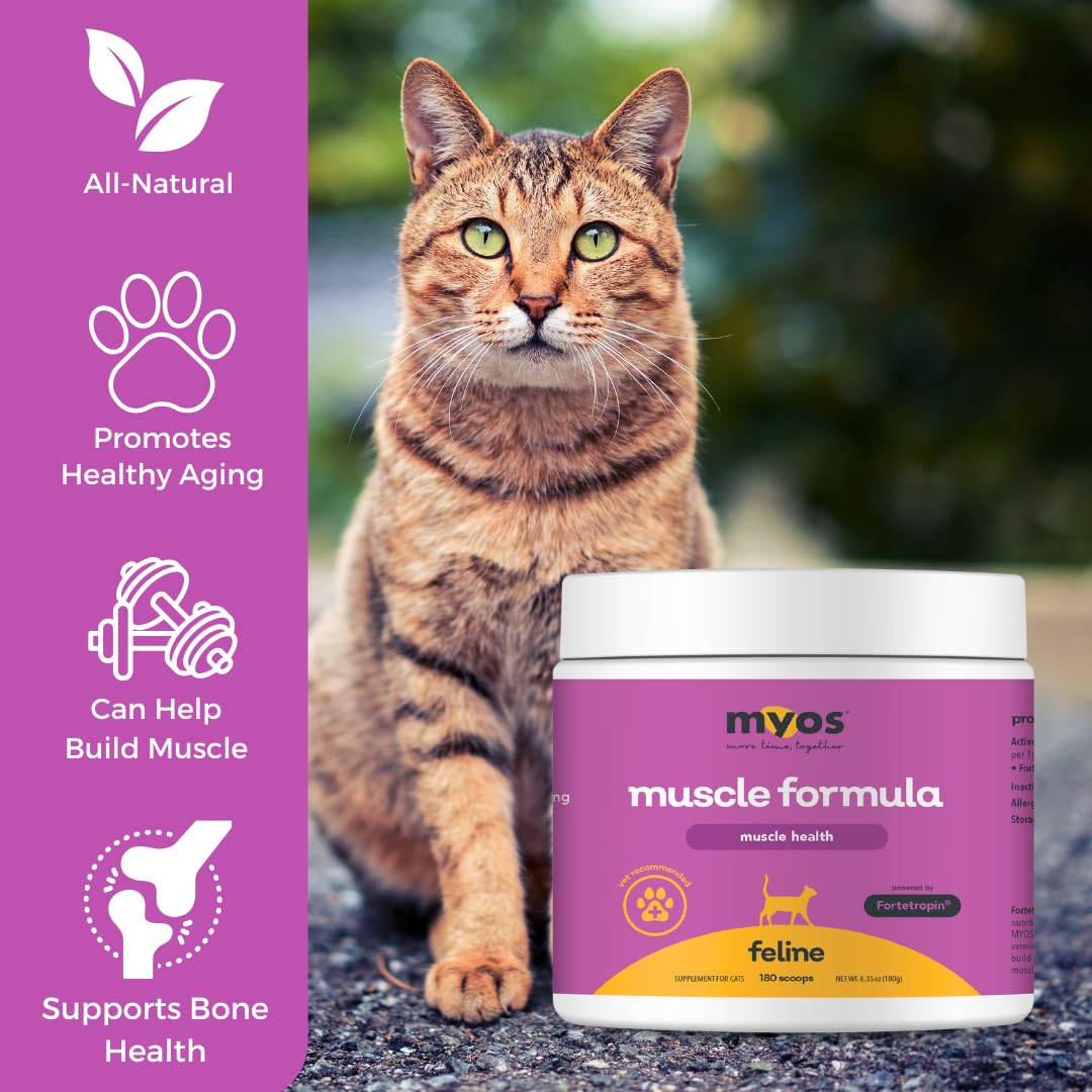 MYOS Feline Muscle Formula sprinkled on food for gentle weight management and muscle support.