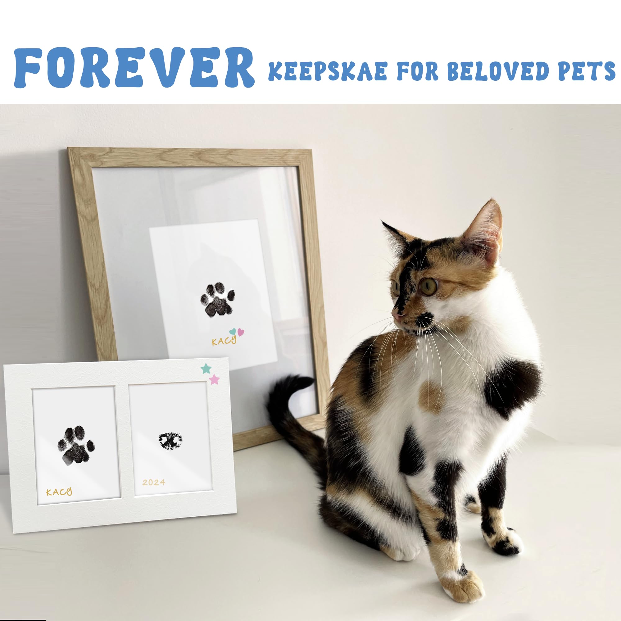 MYPAWLETS gift-ready packaging makes a thoughtful present for dog moms.