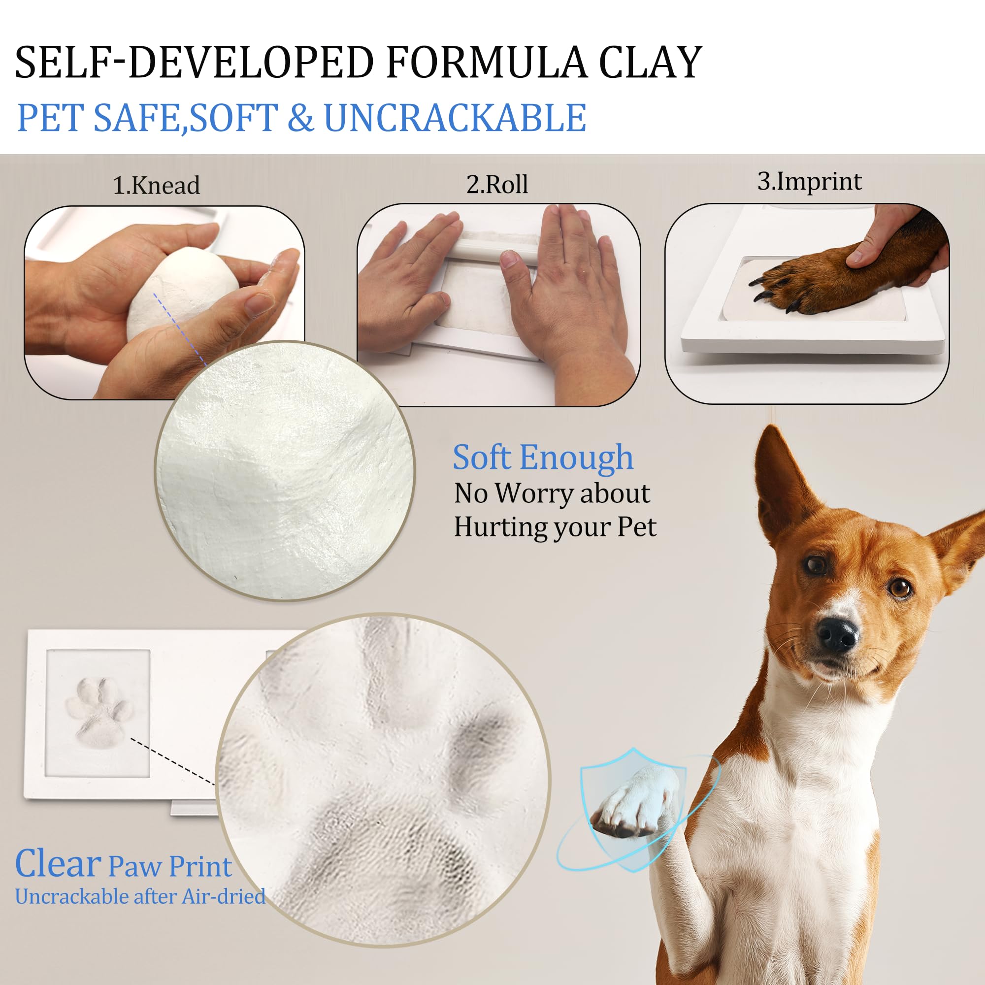 MYPAWLETS plexiglass protected frame showing durable display
