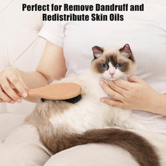 Close-up of Myselect beech wood brush bristles for grooming