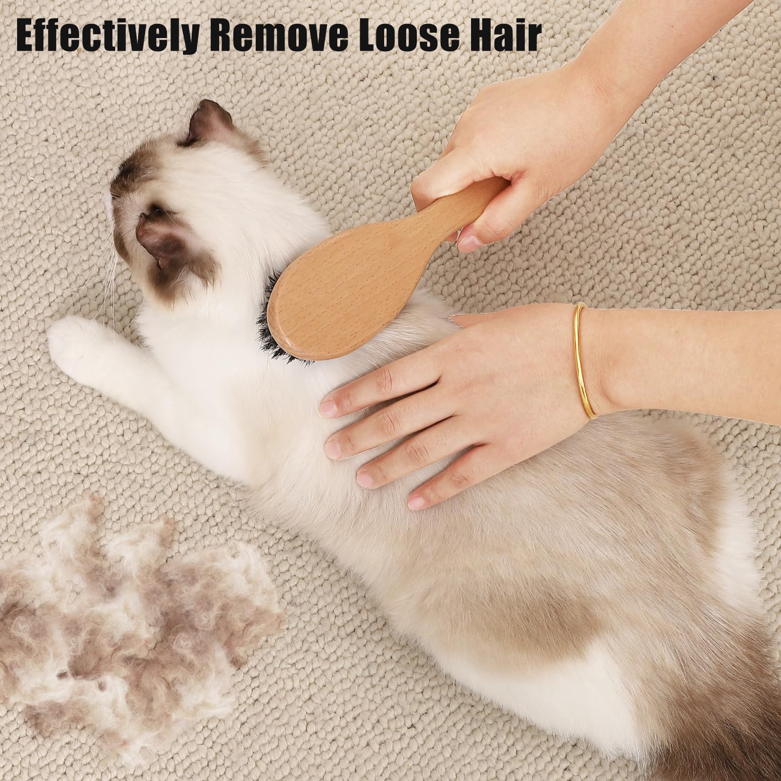 Grooming a short-haired cat with Myselect brush