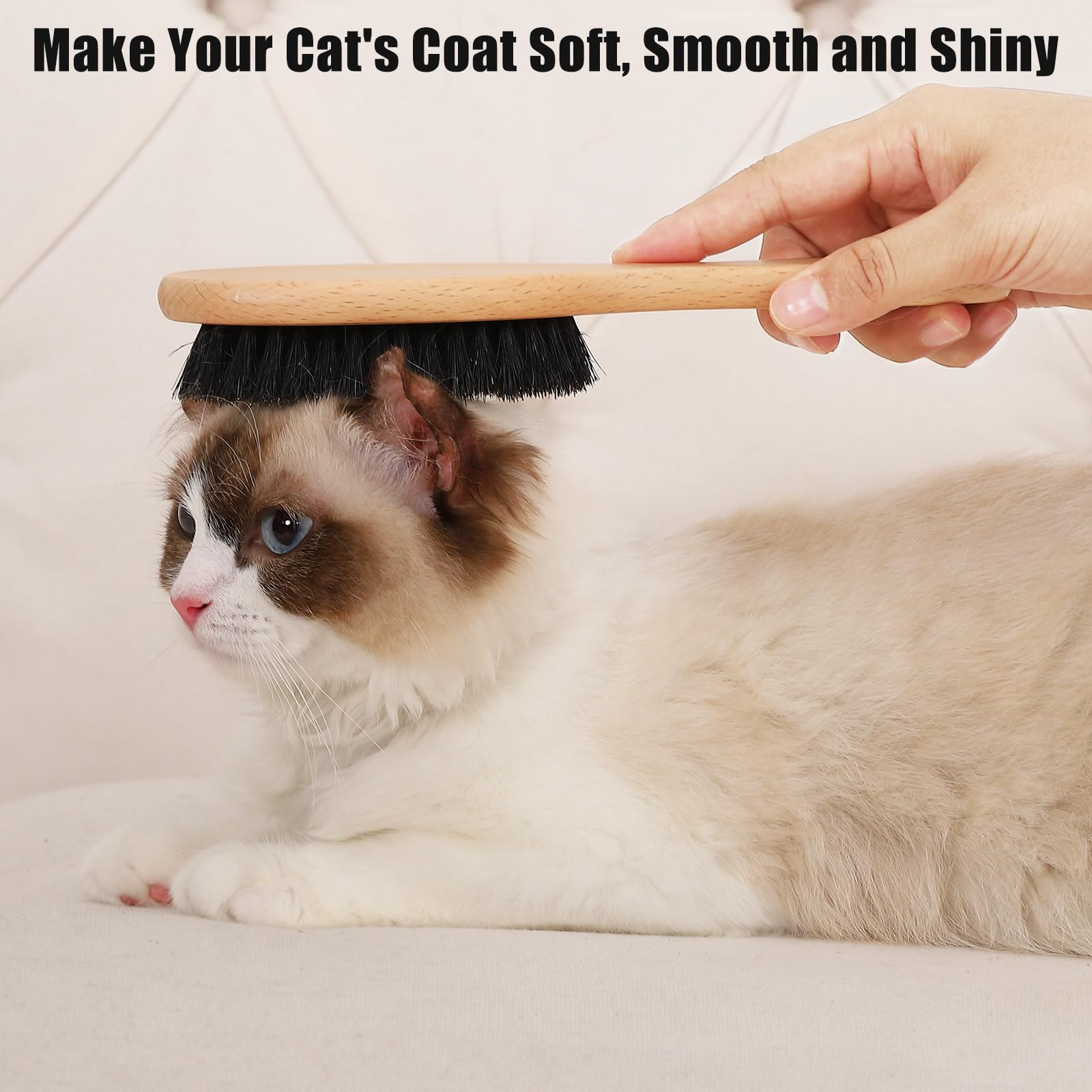 Myselect brush glides gently through a cat's coat for grooming