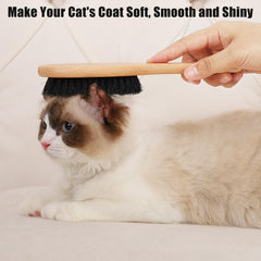 Myselect brush glides gently through a cat's coat for grooming