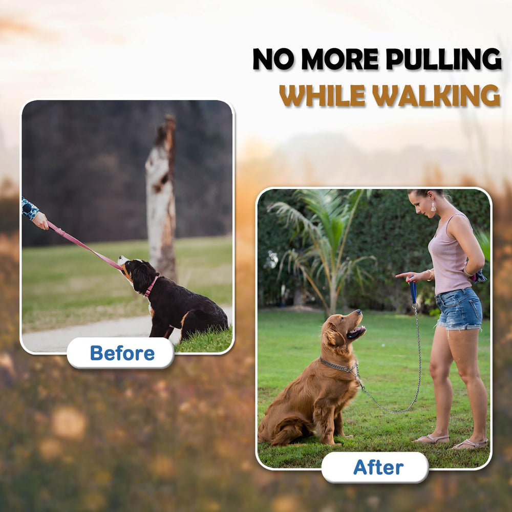 Mystercome collar escape-artist focus illustrates secure fit during outdoor walks.